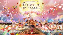 「FLOWERS BY NAKED 2019」京都・二条城で、“鳳凰”コンセプトに世界遺産がアートに染まる