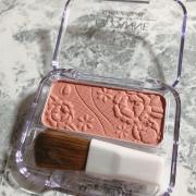 今年の秋はチークも充実！おすすめ秋色チークで季節を取り入れよう♡ -