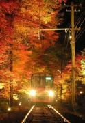 京都・貴船で紅葉ライトアップ「貴船もみじ灯篭」洛北の夜が秋色に染まる