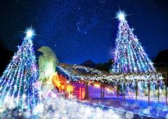 静岡・時之栖でイルミネーション「ひかりのすみか2019-2020」光が織りなす銀河の世界