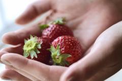 何をどれだけ食べれば「バランスの良い食事」に？今すぐ分かる「手ばかり」で簡単に！