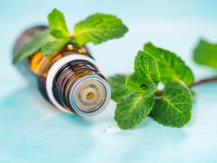 【ダイエットとアロマ】医師が教えるミントのダイエットパワー |＠ビューティーガール