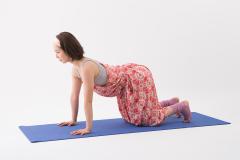 きゅきゅっと引き締め！二の腕に効くヨガポーズ！|＠ビューティーガール