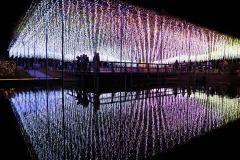 あしかがフラワーパークで500万球イルミ「Flower Fantasy～光の花の庭2019～」新作も公開