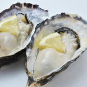 秋冬が旬の牡蠣！亜鉛・鉄がたっぷりでダイエットや美容に最適！ | ビューティーガール