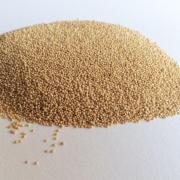 次の注目ヘルシーフードは驚異の穀物「アマランサス」 | ビューティーガール