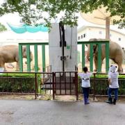 【入園料無料も】家族でおでかけするならココで決まり！関西のおすすめ動物園2選