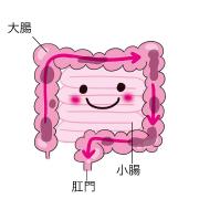 「便秘」が肌あれ、むくみ、冷えに影響！？ 便秘の原因や行く末を医師が解説 |