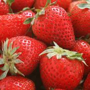 春が旬の苺で美容とダイエット | ビューティーガール