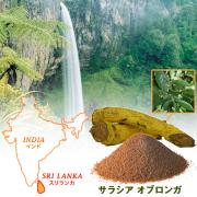 その食べすぎなかったことに！？ダイエットに注目の成分"サラシア"とは？ | ビュー