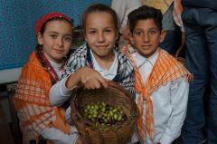 【トルコ現地取材】そのオリーブオイルは本物？　国際規格と日本規格の違い、正しい選び