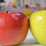 1日1個「皮ごとりんご」のススメ！ | ビューティーガール