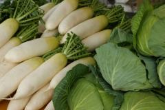 知っているようでよく知らない、食物繊維の話 | ビューティーガール