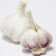 ニンニクの健康パワーはやっぱりすごい | ビューティーガール