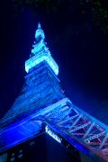 11月東京タワーをはじめ全国の有名スポットがブルーにライトアップされる理由 | ビューティ