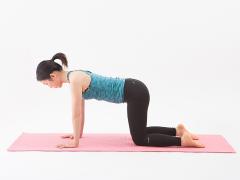 【体幹ヨガ】体幹を意識したヨガでボディバランスを整える〔下向き犬のポーズ〕|＠ビュー