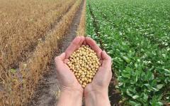 大豆とダイエット|＠ビューティーガール