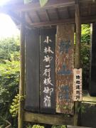 【体験ルポ】東京・奥多摩の御嶽山でヨガリトリート！　宿坊に泊まり滝に打たれて週末デ