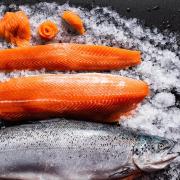 海のスーパーフード 鮭のダイエット効果 | ビューティーガール