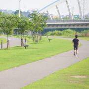 春ダイエットが成功しやすい３つの理由 | ビューティーガール