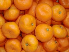 みかんに隠された驚きのちから | ビューティーガール