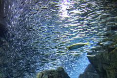 気付いたときには重症化している動脈硬化の恐怖 | ビューティーガール