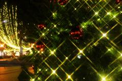 クリスマスシーズンのダイエット！！ | ビューティーガール