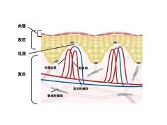 唇の荒れは薬用リップでケア！口唇炎や口角炎のときに使える市販の薬用リップも |