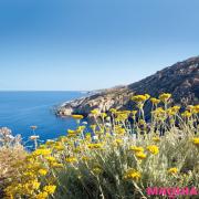 並外れた肌再生力！ 小田ユイコさんが語るロクシタン"イモーテル"の魅力（1ページ目
