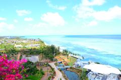 【2020年ヒット予測／旅行トレンド】注目の国内旅行＆海外旅行先総ざらい