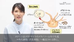 動画で医師に学ぼう！オートファジーを活性化させて美白力覚醒！！友利新先生の“化粧品