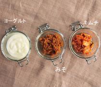 ヨーグルトの栄養と効能をご紹介！腸内細菌バランスを整えて美しい健康体に |