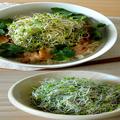 ダイエット時にこそ食べたい豚肉！ヘルシー満腹レシピ16選 |