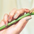 お家で簡単セルフネイル｜単色だと無難な王道カラーも意外な組み合わせで一気におしゃれ