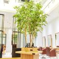 LONESS ginza(ローネス ギンザ) |