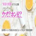 長時間トイレで気張るのは良くないってホント？【美容の常識ウソ？ホント？】 |