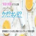 食物繊維をたくさん摂るとむしろ便秘になるってホント？真相を医師に直撃！【美容の常識
