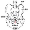 “恥骨”ケア＝ピュビスセラピーって何？顔や体の“下垂”にはこの座り方＆ストレッチを