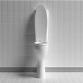 お金を貯めたい人もチェック♡「トイレ掃除の極意」教えます！ -