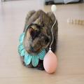 猫のひとり遊びに「電動猫じゃらし」ってどう？遊ばせてみたら可愛い反応が… | ビューテ