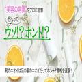靴のニオイは足の裏のニオイってホント？ 専門家に真相を直撃！【美容の常識ウソ？ホント