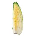 定番人気野菜、白菜を使って！超簡単ダイエットレシピ |