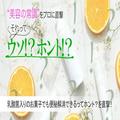 乳酸菌入りのお菓子でも便秘解消できるってホント？美腸のプロに真相を直撃【美容の常識