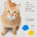 オシッコで愛猫の健康状態がわかるトイレ砂「しぐにゃる」、開発者に聞いてみた | ビュー