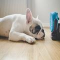 暑い夏もひんやり過ごせる！絶対ほしい「涼感グッズ」7選 -