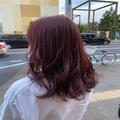 2020年秋のおすすめヘアカラー6選　定番からトレンドまで！ - ビューティーガール