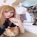 3匹の飼い猫が35万いいね！ バズリ猫様と暮らす私の“ねこ目線”ライフ | ビューティーガー