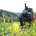 鉄道・筋肉・ジャニーズに根っこ!?...人には言えない！私の“オタク“道 -