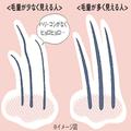 遺伝による薄毛対策｜きちんとケアをすればハリコシヘアに♪ ブラッシングで頭皮の血流ア