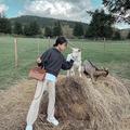 Premiumインフルエンサーズのインスタ拝見！ 影山カレンさんが北海道の『星野リゾート　トマ